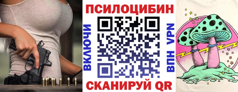 купить   Мещовск  Галлюциногенные грибы мицелий 